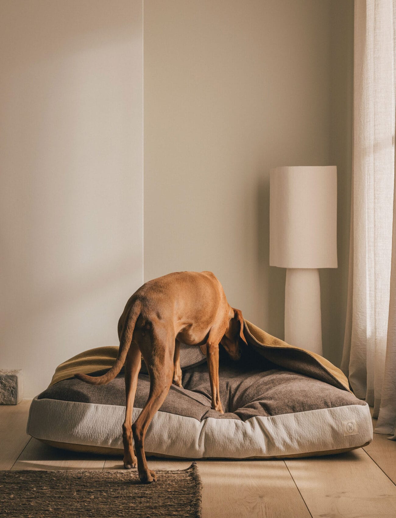 Cocoon – L – Milou hover_image