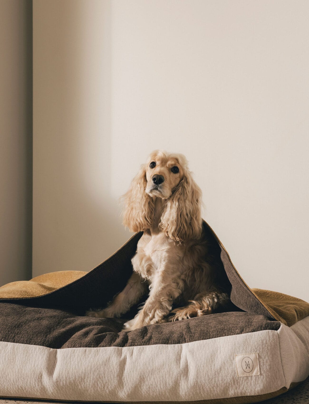 Cocoon – M – Milou hover_image